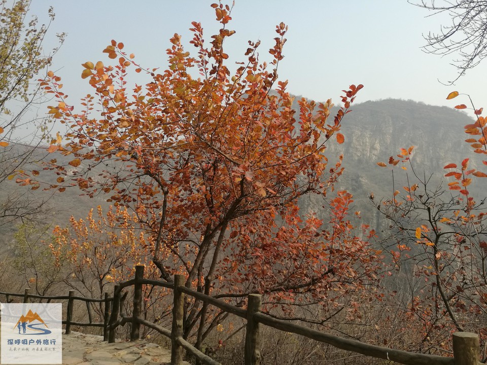 zBQzunGqvPGUw0PLfwCESFZjuq7JUl9ZjrpzwqNUQqu7qFPjCZmRzwUPBR7mmOP_