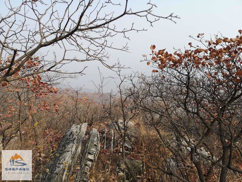 6JALNVs4lhmrCR8adiO9rSYh23-oZNR2-OvzyJovv8ZKFLguP-9VQ3nxeG77wypw