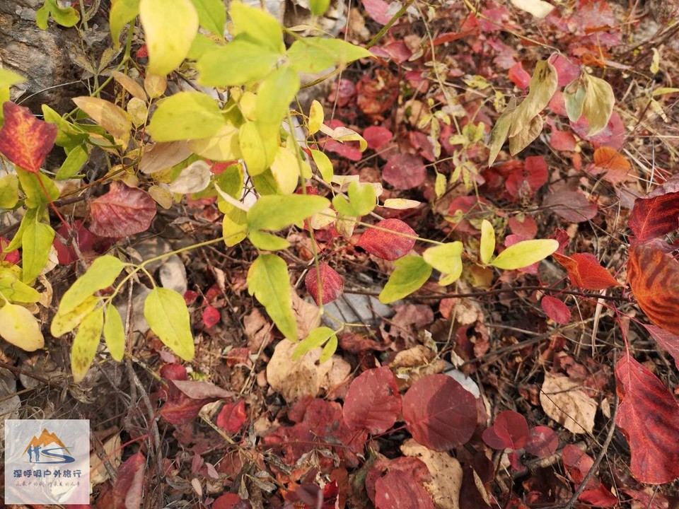 V23k4bth0pDpAQmnjWWBNvROQUOQioEN-kgXlvTQTYVGN12zoy2byu47xtz9KE6i