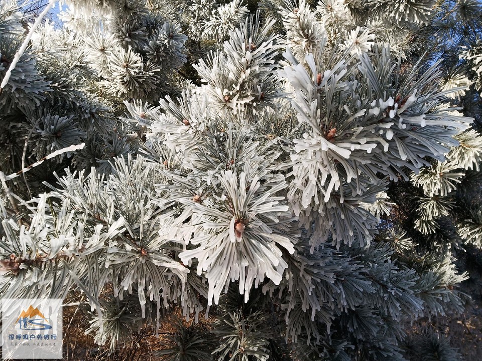 WnMGrePOSpqYPKM51ed1ZEwzGXYD544myY4OGcCzwnMQy9VSScbFxygm3DPsHfq0