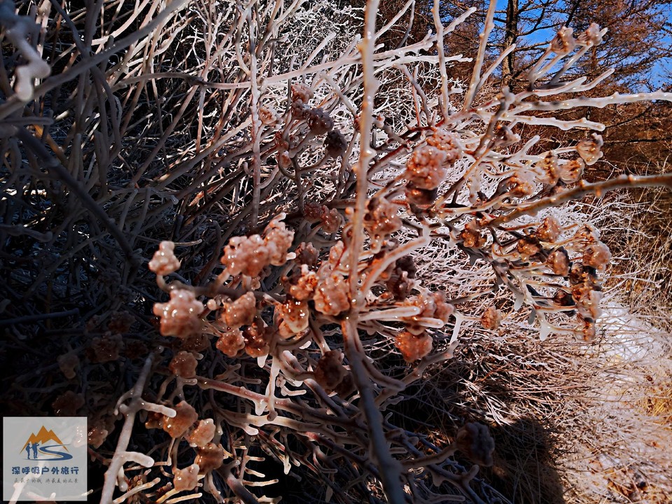 QD0_1br6xxEukCLZX1htTCu2pZFM5wZ8QM3Rh-BO7Scj3Bil6QAAK0SF9vMUVxQ7