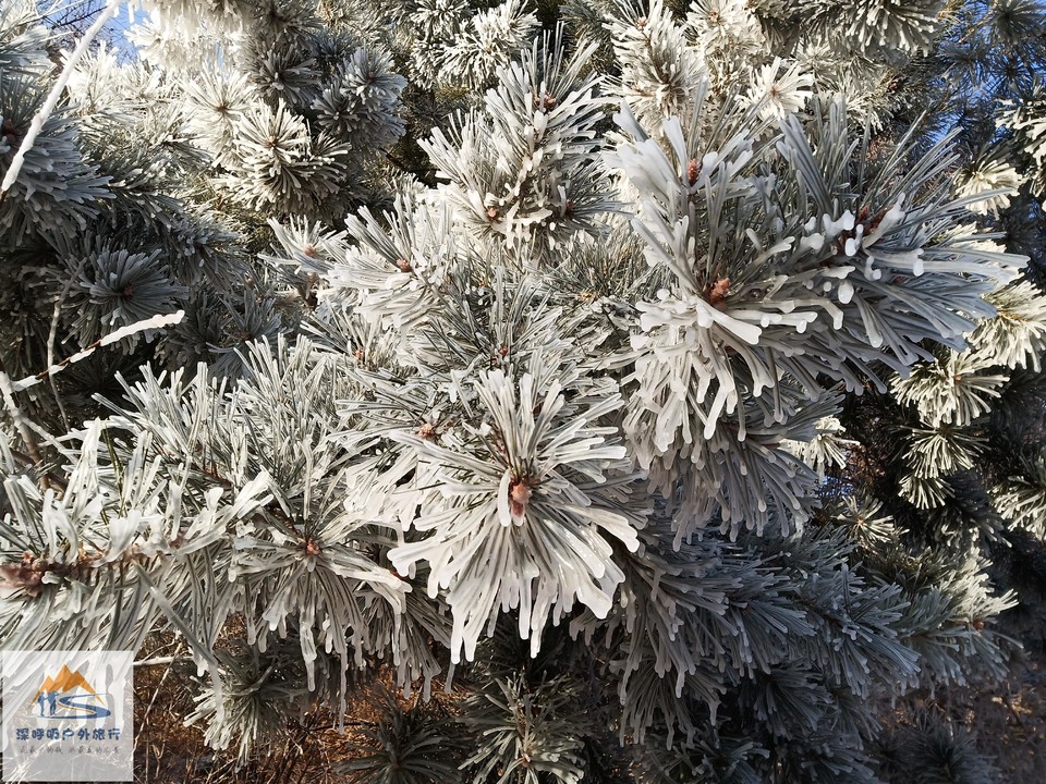 ZJwaWe5JsmdLh24Tl317OTTKtMmsv1Y-nNyIw9kQg4ek4JbPI0N3MPqv_ZeHZZll