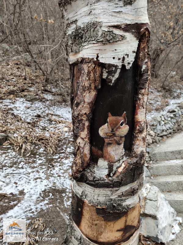 2WmG2Sf9MCmIxfpcWXgp1csf8YY-gptL45PJpt29U6xiybfxsH9dtyiWawGH5u30