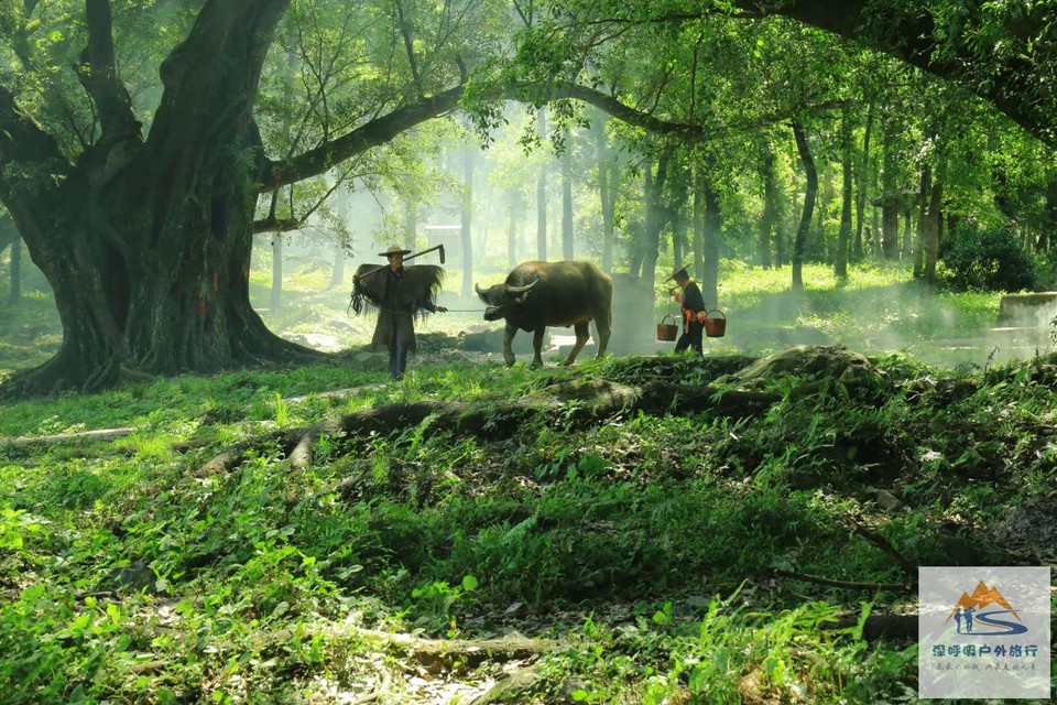 gy9uRtAz0dwDHB5SICrddWcWghGFodw60XpZK6AzYH_qYAiRohwB69nNCGfP3Y30