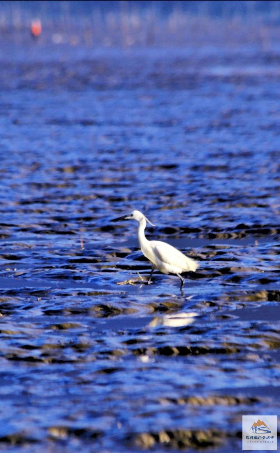 qMZvjQo8IjXYuvCd_1piLf5IN-JTjPQfSQ-mneSgRZ0k6g9DhlEtMdNoChHf-SOA