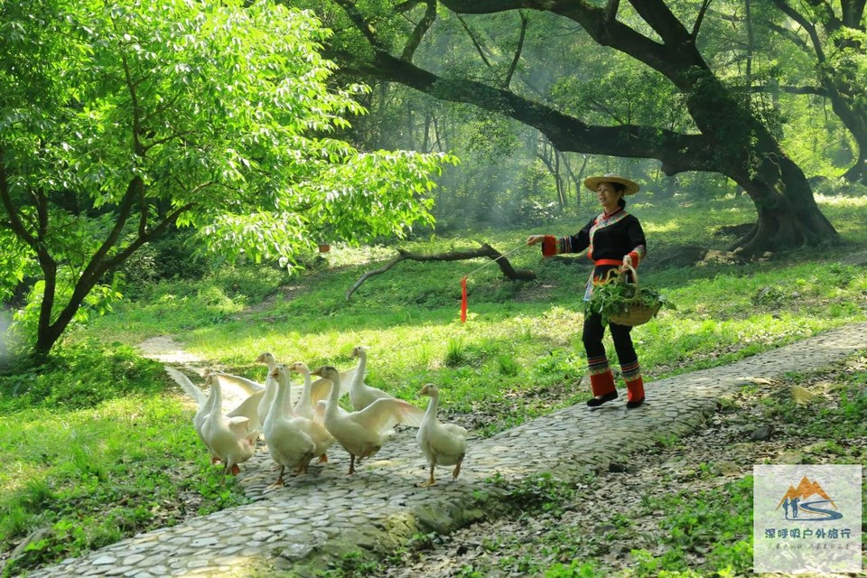 rxmHTjn3QeNy0ujqZWgKSL4YJq1_ETHLAcYGV_LbS6YRxxZD91gr1KflPznTkSjW