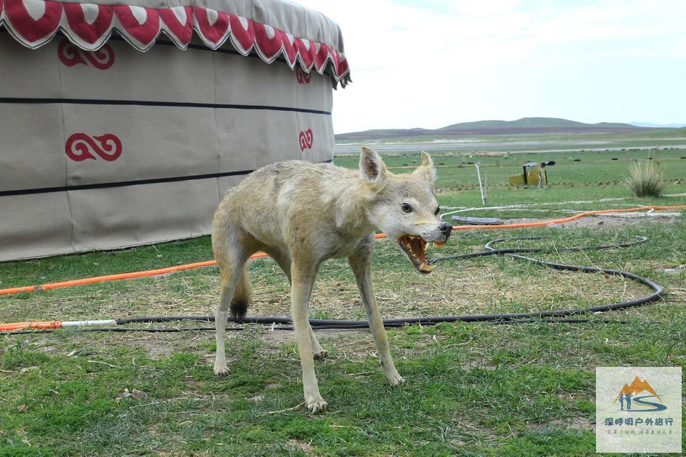 F2olMvOuJiRbY26XWfV2dEKjoCYoSHvf7Kq2THSrGarfzlz1dt437MqckYqmIHQd