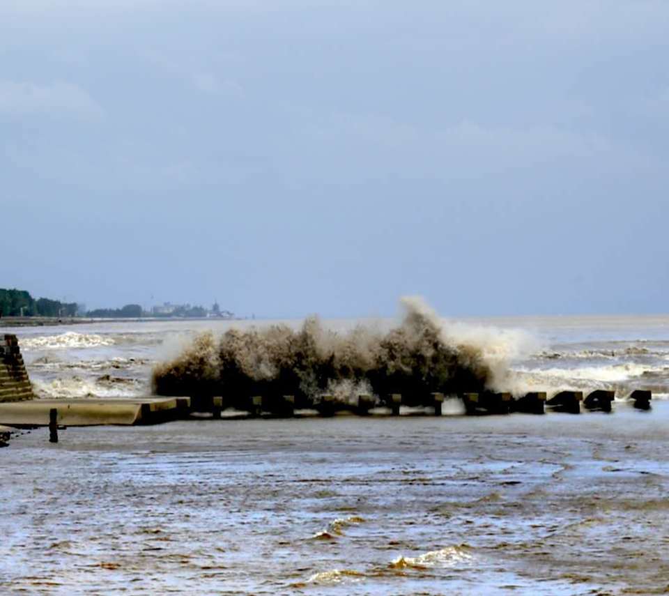 8BwQyaEVg6LxPOlD2-XaQywVM6LKOLMrdX_f5OeDijJk3KWGfNgQsKIx1K6b36kR