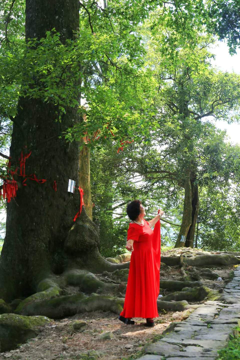 KVNh2JsQ-72HPYhPzdQTvV3lRqyZaKnEwE4PfHfp8gsv2kKLwQH8CVSBa9L76H1U