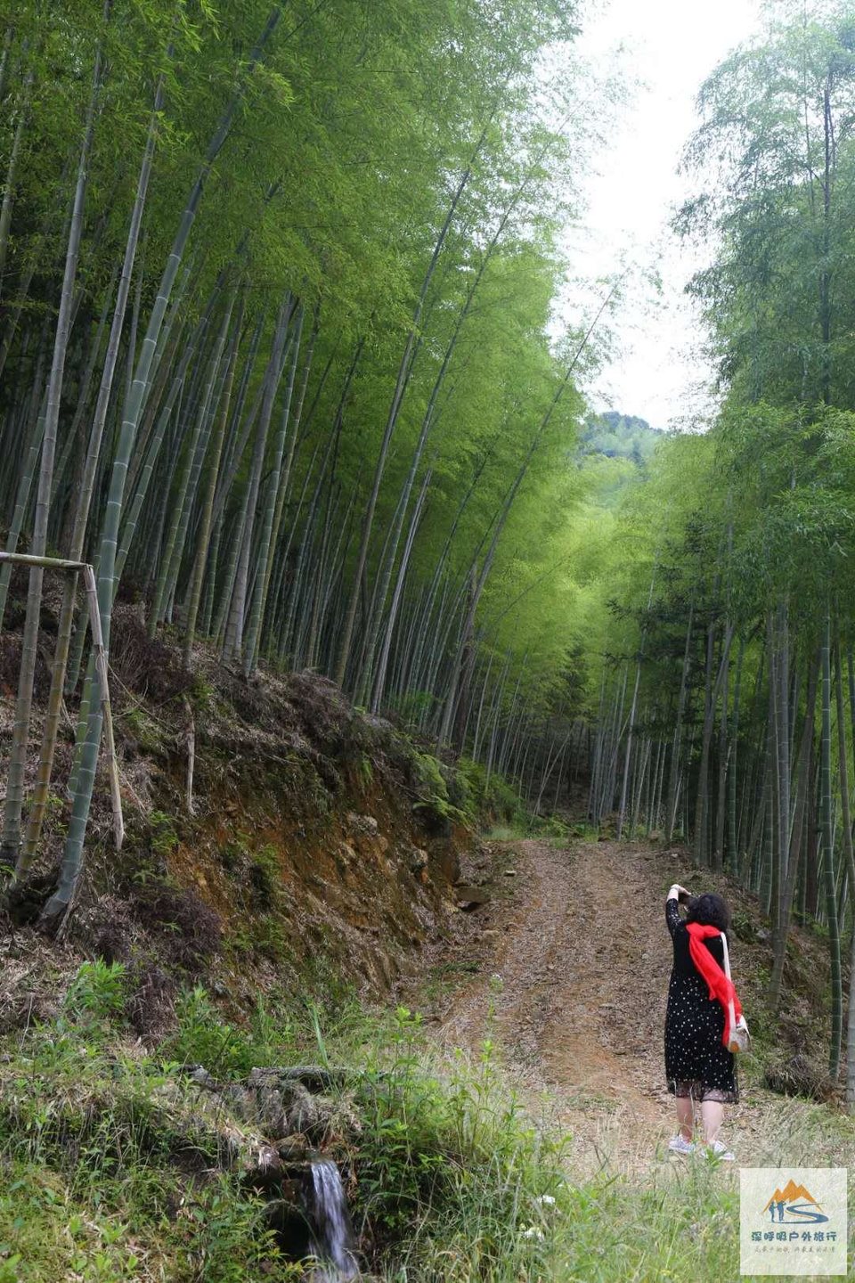 AqNzVnORvR5HolkgwlI2EjekrJvtqyMt4x4Yp9V4ql5XpjE1IjsEPtdbyyCuil16