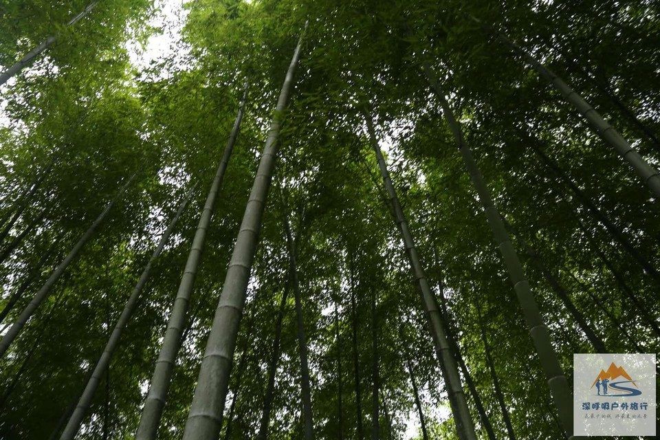 b2Ff16OcPQlpw-n3N00ZbycPlH8GXIg9W3cT6fM_wtnegooK-2VAyMCxME4KqMEH