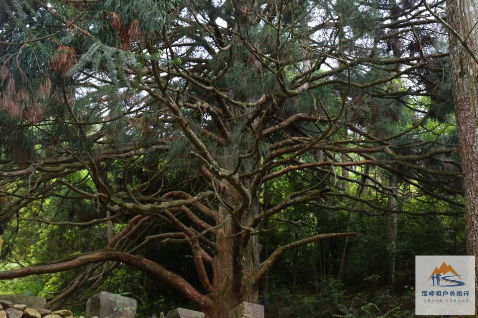 0gMVYXQ9UhejxiUhFX0_RywhmFXirRstN7giFWn9i-xQ9A5a7GDChAI21TODafTA