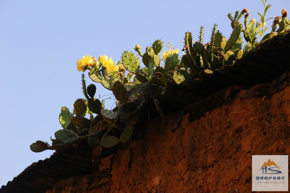 vecQ9zW9KTSl8k7XO_Lqf5BEh9_Xl0Ppyh6BQqjE_AiZxWC-E7hAjUbEoeq1dEwO