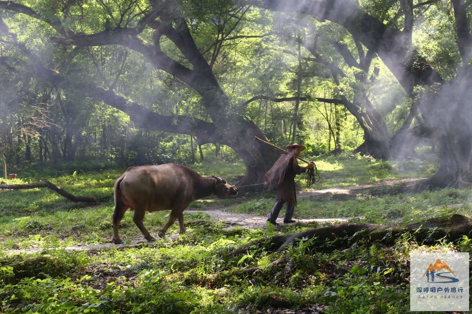 lup908ECxd1P97Vog3Woybjya_vazMy3dye9busY9rZaoESTvNY7Nm8XEXoW2KzO