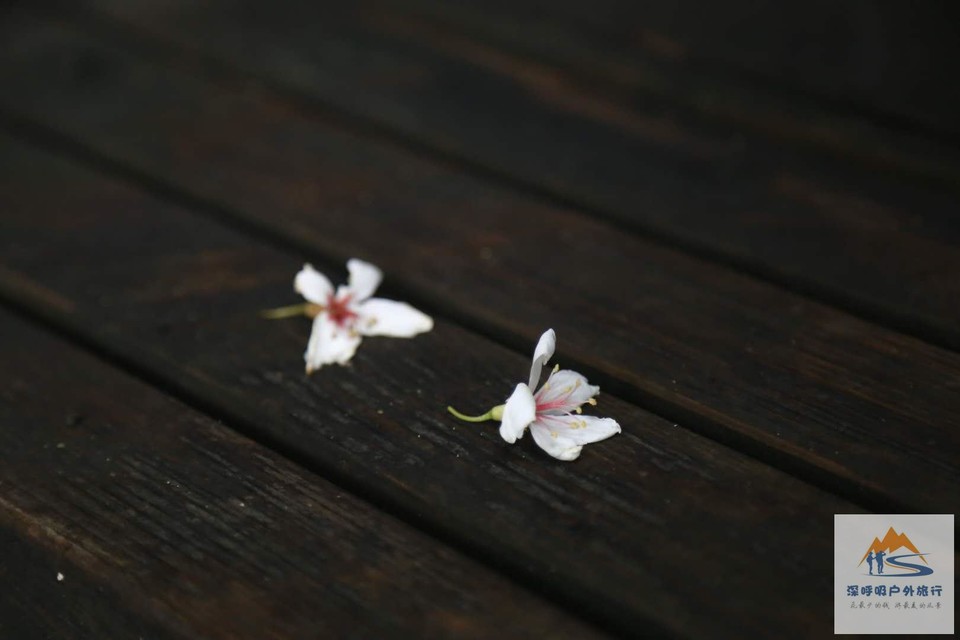 ntHIPl_SLhMXNWwL9AXb3juXBkxOP26hzXOElJeZ5IEheUxEXLb1y46gR2ntE7tw