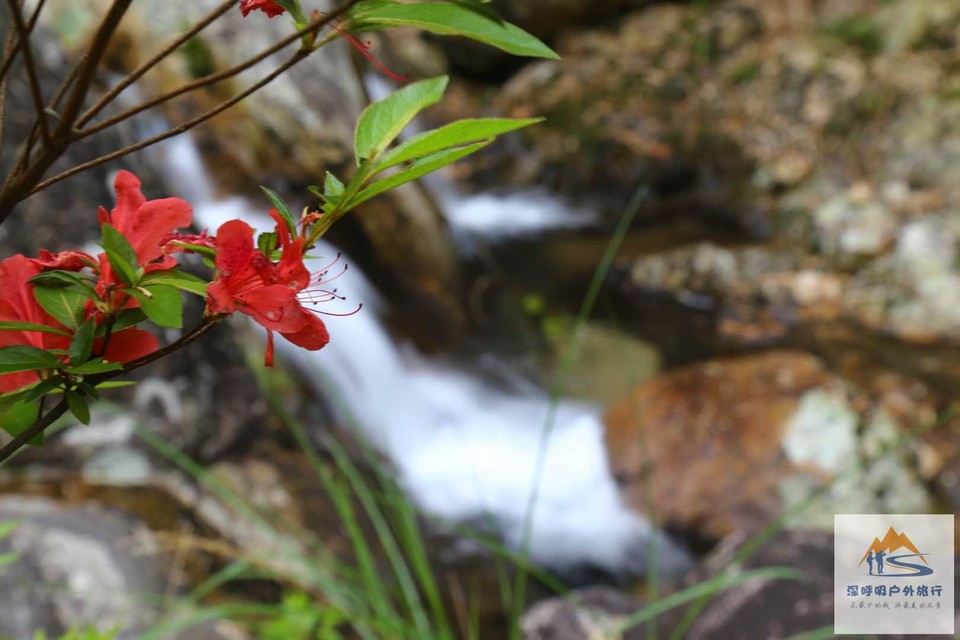 11Iwpmu8389y3HvZzSvGHeMk6D83QEN-NjHpbirjW1I7SSus2Gnki5z4QCWPNnUM