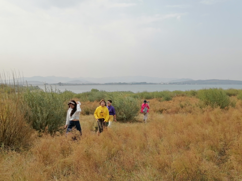 DArVwe7O2UDSDKtEcrXBKhTl8KRZ_8I_dPipXXygSOSR7DNAzexykEFo4DkVdwPv