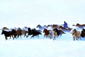 激情冬季那达慕 到皇家御马苑踏雪驰骋感受最燃冬日！
