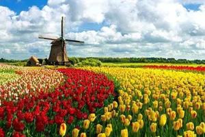 最是春光无限好 万亩花海竞芬芳 —— 赏花、观景、亲子一日游