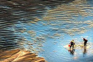 她，霸占了福建二分之一的美，访榕树之城，摄滩涂之美，光影追猎深度自驾之旅