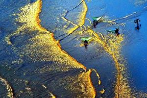 5月去福建，这才是最正确的打开方式！