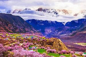 三月，去中国春天最美的地方吧！