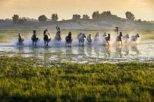 天然画廊——乌兰布统，这个夏天草原与你有个约定！