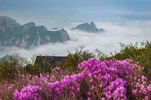 天女花开，长城一号，海天一色，人生绝不可以错过的风景！