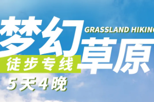 【VIP小包团】小众草原徒步5天4晚丨额尔古纳湿地徒步+边境卡线公路徒步+白桦林中徒步，穿越莫日格勒/私家牧场撒野