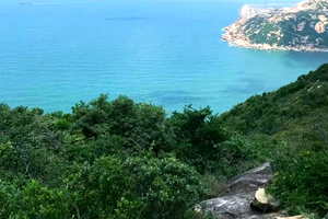 【5.21】7公里环湖徒步，松林、梯田 、山花、湖景，行走在天然氧吧