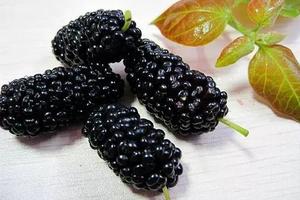 【6.4】不出津│环湖徒步，赏湖光山色，采摘树熟桑葚，管吃到饱！