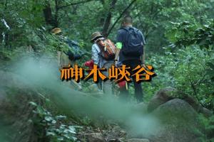 一日登山丨7.10 峡谷秘境，荫凉徒步——神木峡谷