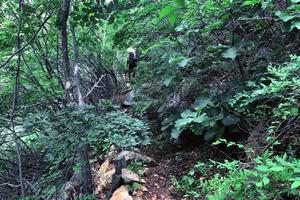 天津每周一山 7.30/7.31 | 石头林 新路线首发！穿过隐世密林的徒步，攀登够美够野小长城，夏天清凉避暑路线！