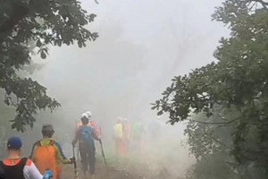 每周一山10.4/10.5 | 天津九梨密林环穿，密林深处的回音，山岭密林，水潭与洞穴等你来探索！