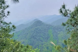 每周一山8.21 |  天津白蛇谷，夏日最佳清凉路线，徒步白蛇谷，开启不一样的徒步之旅~