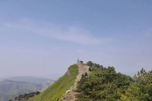 每周一山8.28 | 天津穿越老虎台，有山脊有密林，美不胜收，当一天山中大王，赏绝色高山风景！