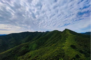 每周一山 10.3/10.6 | 天津狐狸峪，AB线难度自选，徒步初秋最美山脊路线穿越，漫步“云端”看阵阵风吹~