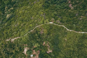 每周一山 10.1/10.7  | 穿越龙脊之径，不一样的方式亲近大自然，感受依山傍水风景吧！