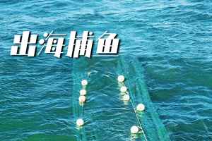 出海捕鱼 9.17/9.18 | 做一个捕鱼达人，享受肥美海鲜大餐，海洋冒险小队开始集合啦！