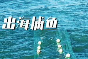 出海捕鱼10.15 | 做一个捕鱼达人，享受肥美海鲜大餐，海洋冒险小队开始集合啦！