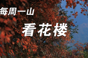 每周一山 11.12/11.13 | 天津看花楼 这个被遗落的红叶秘境，隐藏在山野中的十里红叶，你拍到了吗？