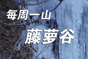 2.18/2.19【藤萝谷】| 原始次森林-藤萝冰河冰瀑の冷水峪-河防口-九谷口8公里