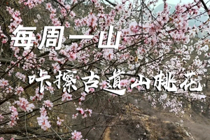 3.18 ·【咔擦古道山桃花】| 春暖花开时，咔擦古道徒步赏漫山野桃花美景，纵横山野！