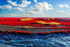 色彩之旅，享受视觉的饕餮盛宴