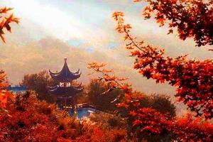 赏秋游园，一上一下览壮阔，一步一景游江南