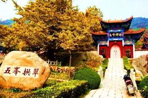 这个深秋，“杏”好有你