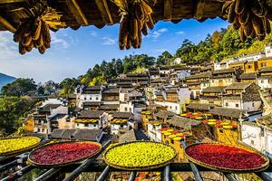 我本人间山水客，此行只寻烟火来