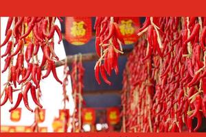 看花灯逛年会闹新春，过最有年味儿的民俗年！