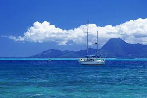 初夏体验——出海捕鱼吃海鲜，天后宫闲逛享文化