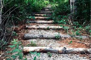 【11.14】大王叫我来巡山——穿越龙骨之径